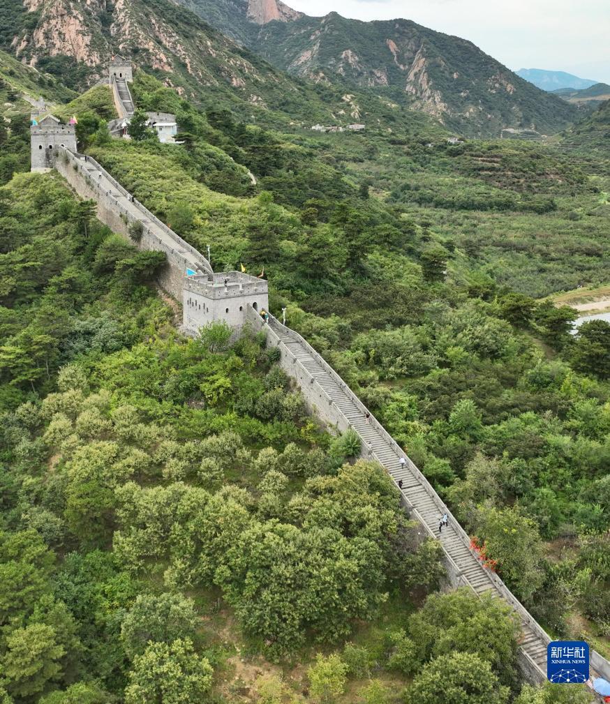 欧式轮盘游戏下载